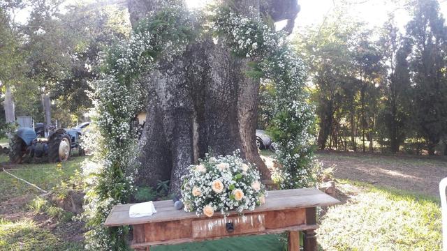BW Eventos Buffet Willians - 2