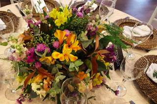 Thiemi Hernandes - 8