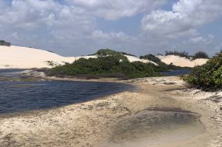 Smartway Travel - 19