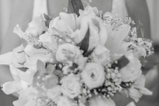 Von Abel - Fotografia - 10