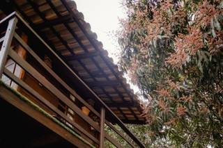 Casa Arvoredo Dreams - 6