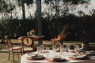 Jardim de Festa - 6