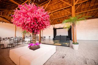 Feitiço das Flores - 9