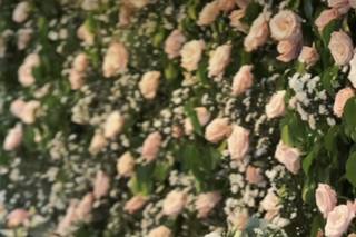 Dercineide Aguiar Decorações e Eventos - 5