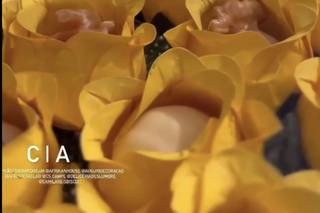Deliceria Deslumbre - 4