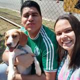 Andressa