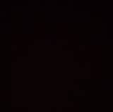 Dayane
