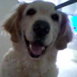 Marianna