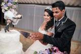 Arilex