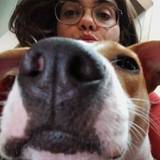 Beatriz
