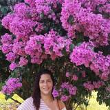 Paty