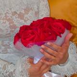 ALANE