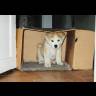 Letícia