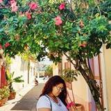 Cassia