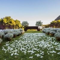 Para qual estilo de casamento vocês dizem 'SIM'? - 1