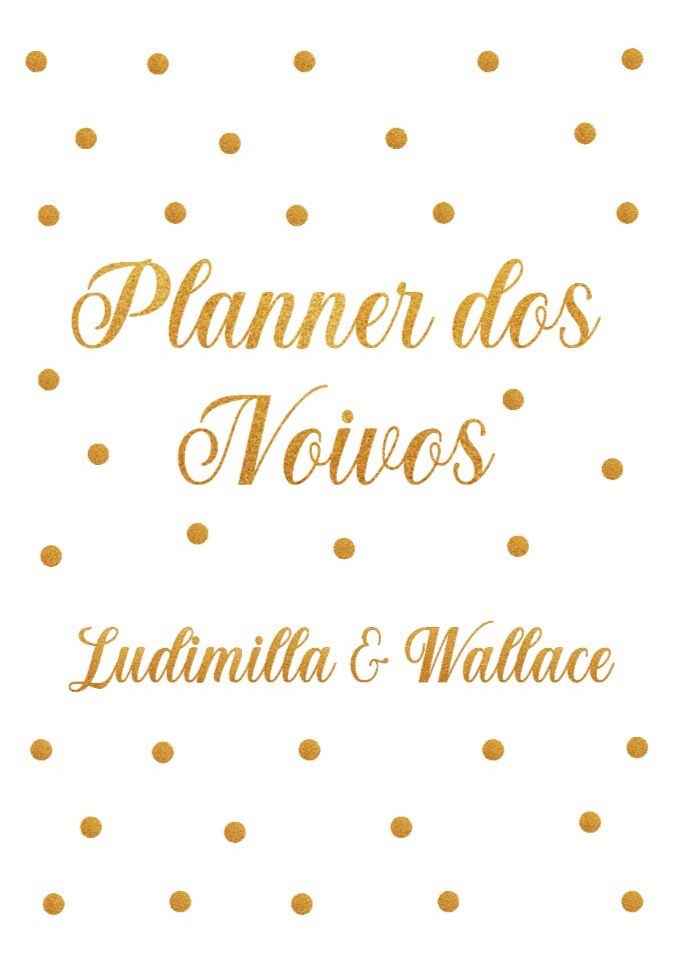 Fase inicial do planejamento do casório 💗 - 1