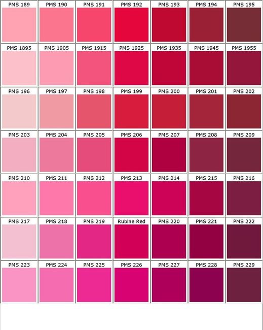 Cores Paleta - 6
