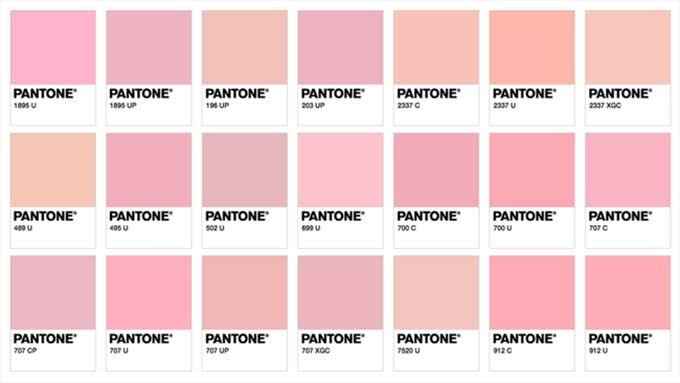 Cores Paleta - 5