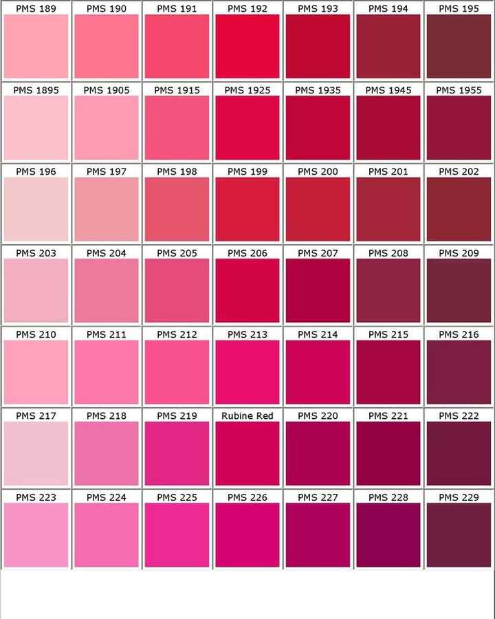 Cores Paleta - 6