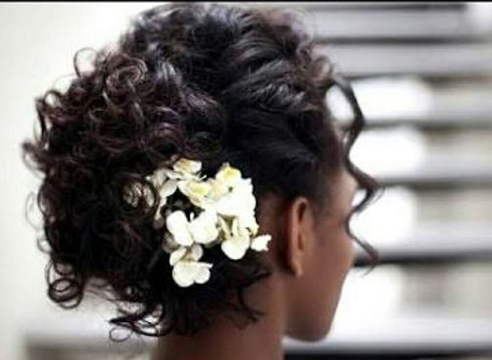 Qual será o tipo do penteado? 2
