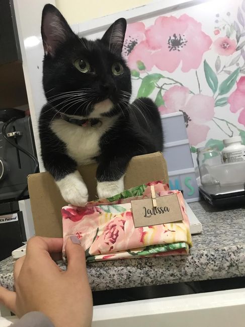 Selo de aprovação felina pela caixa de papelão
