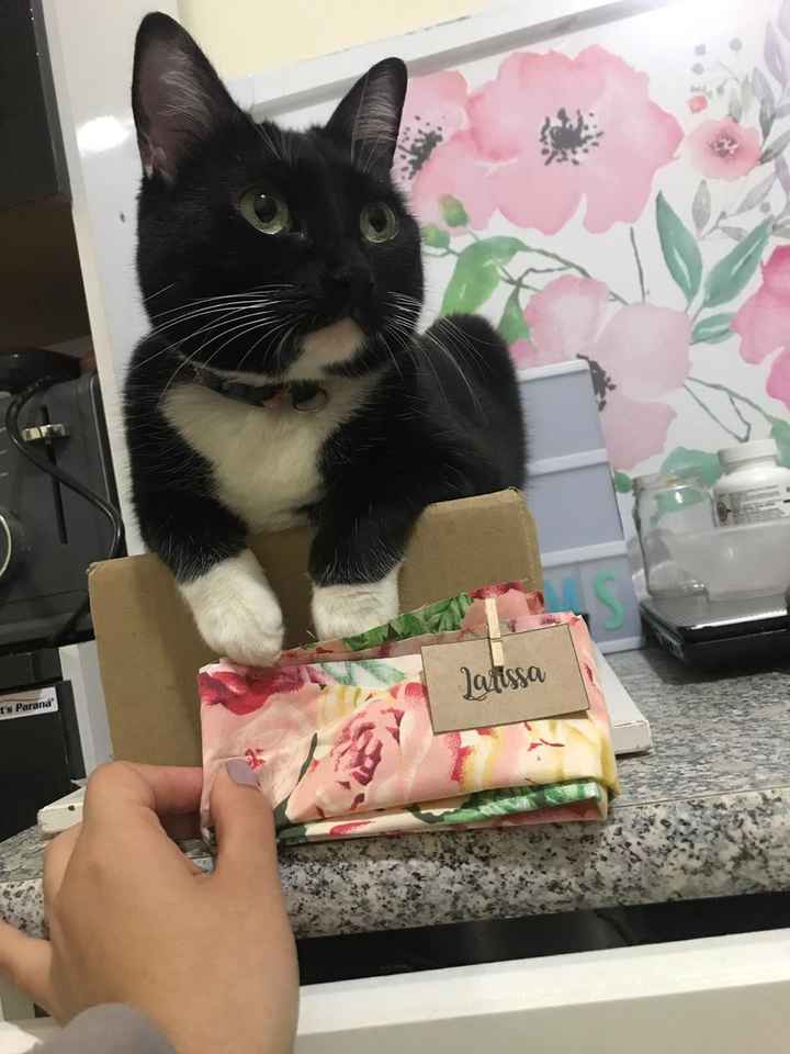 Selo de aprovação felina pela caixa de papelão