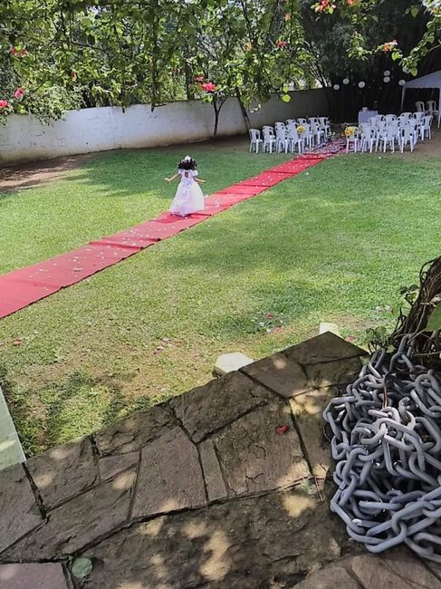 Meu casamento embaixo da árvore 🌳 9