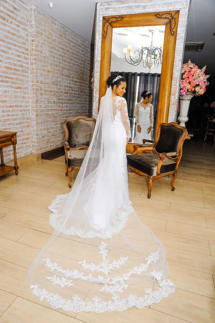 fotos oficiais 14