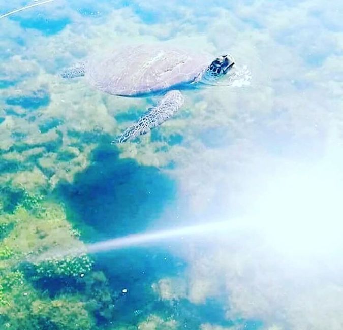 Noivado em Ilha Bela 15