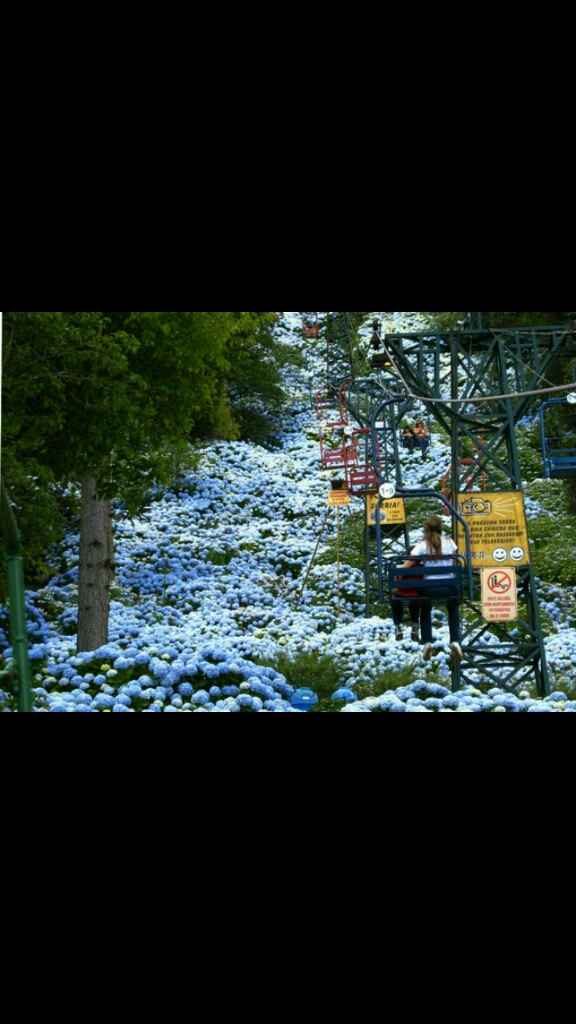 Gramado e canela (rs) - 4