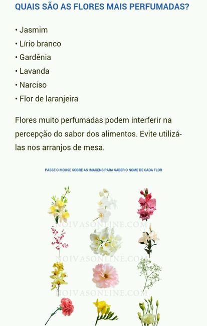 Flores de cada estação - 3