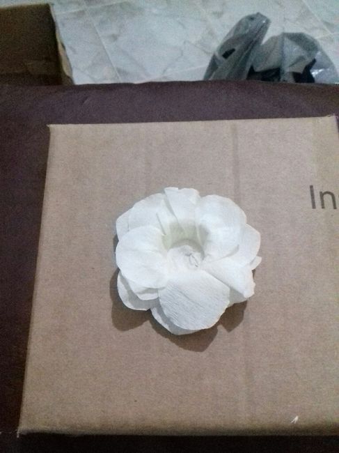  Casamento tomando forma! - 2