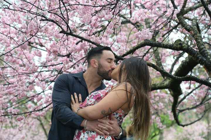 Meu pré wedding: festa das cerejeiras #vemver - 7