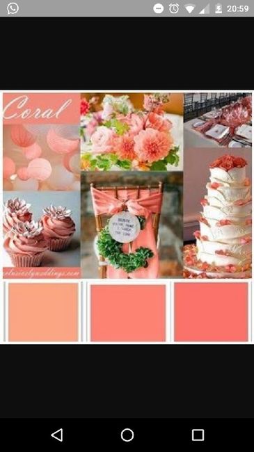 Paleta de cores #ajudinha - 3