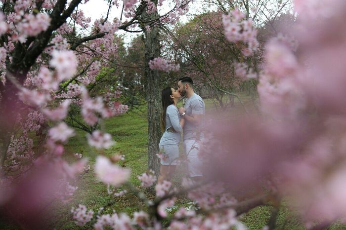 Meu pré wedding: festa das cerejeiras #vemver - 3