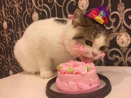 Hoje é o meu dia rs parabéns p mim!! - 2