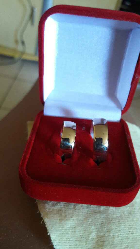 Minhas alianças - 1