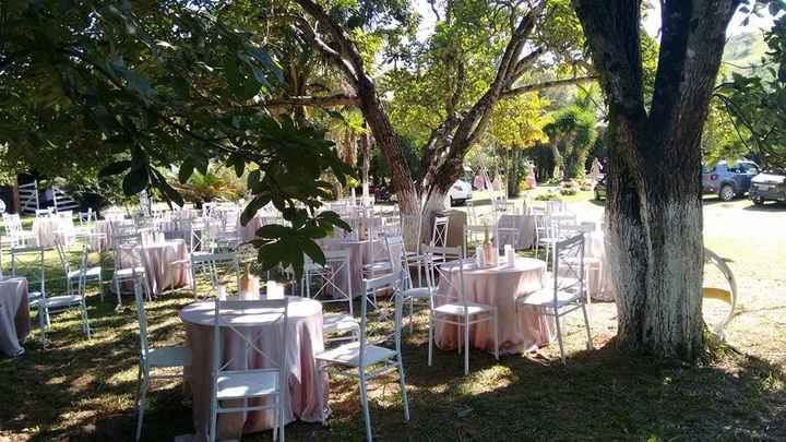 recepção 