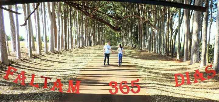 365 dias photos - 1