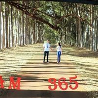 365 dias photos - 1
