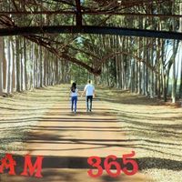 365 dias photos - 2