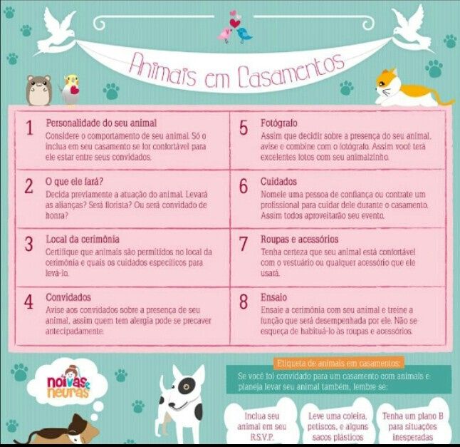 Dicas para pets