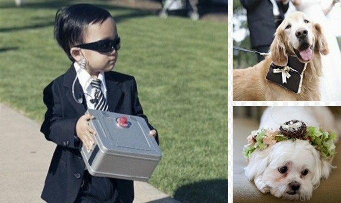 Pagem agente secreto ou dogs