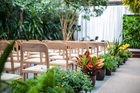Plantas variadas