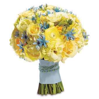 buque amarelo e azul