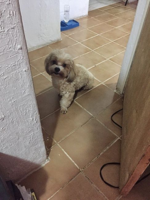 Meu amorzinho!!!