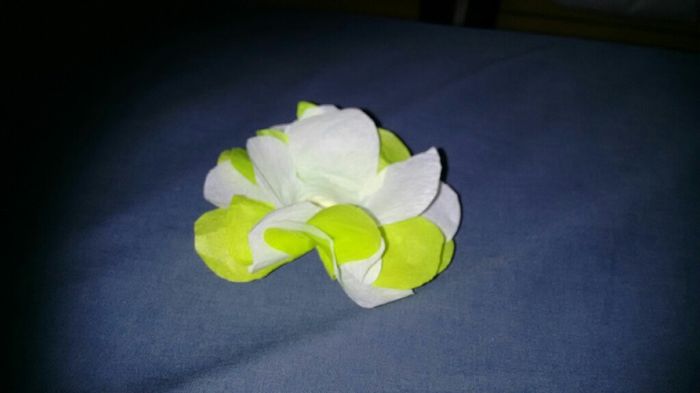 Forminha de tecido ou papel - 1