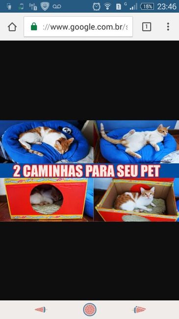 Eu tenho pet e meu namorado tem alergia o que fazer ? - 2
