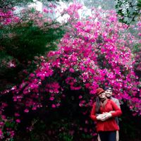 Gramado 2020 (nossa experiencia) - 9