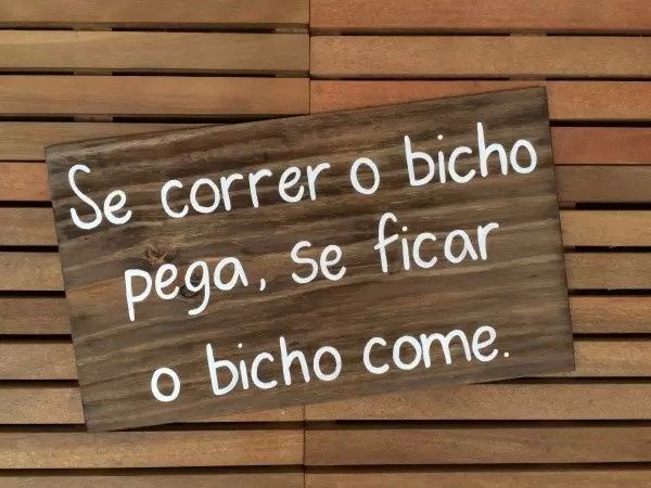 16 ideias de frases para plaquinhas de pajens e daminhas ! - 9